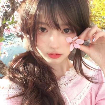 动画综艺